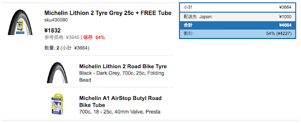 Michelin Lithion 2