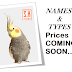 Cocktail Parrots Names & Types