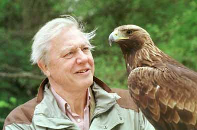 david attenborough principe de asturias