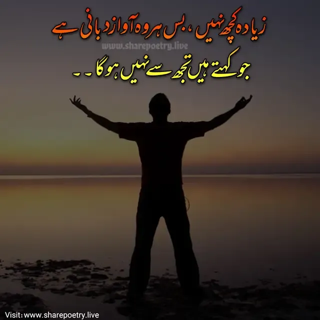 2 Lines Attitude Shayari In Urdu About Career Success