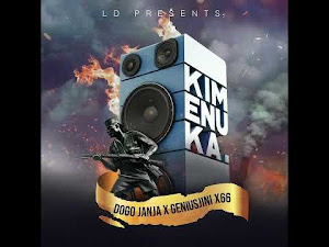 AUDIO = Dogo Janja X Genius Jini X66 - Kimenuka _ djmbu.com