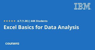 Excel Basics for Data Analysis review