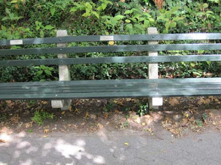 Kelly Ripa Bench In Central Park.