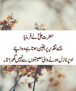 Hazrat Ali Quotes in Urdu 