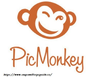 picmonkey for pc