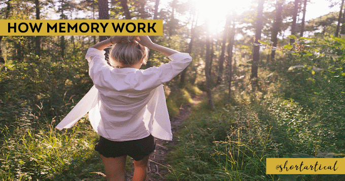 How Memory Works