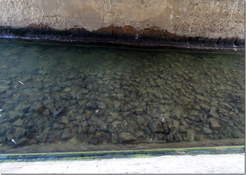 paris 2016 rocks on the bottom of the seine 122016 00000