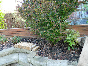 Wychwood Toronto new backyard perennial garden before by Paul Jung Gardening Services--a Toronto Gardening Company