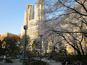 Shinjuku Central Park: Tokyo Metropolitan Government buildings stand behind . (shinjuku central park)