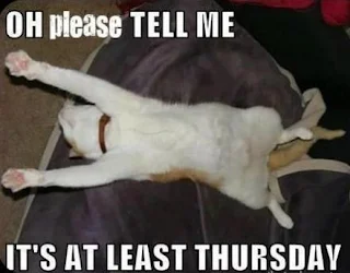 Oh please tell me it's at least Thursday. Dog Meme