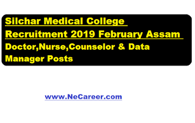 Silchar Medical College Recruitment 2019 February - Jobs in Assam 