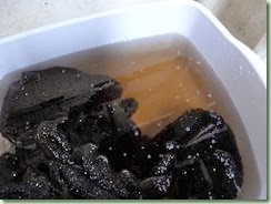 Washwater3