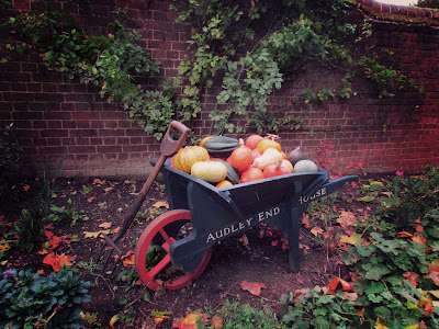 bookandacuppa, book and a cuppa, book & a cuppa, yellow, red, orange, marrows, pumpkins, butternut squash, vegetables, soft focus, photography, Halloween, garden, farmer, countryside, UK, Audley End, Essex, Autumn, Fall, colourful, spade, gardening 