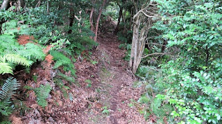 人文研究見聞録：神代神社 ［島根県］