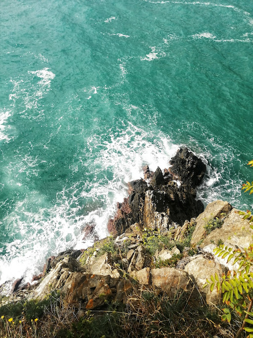 cinque terre consigli