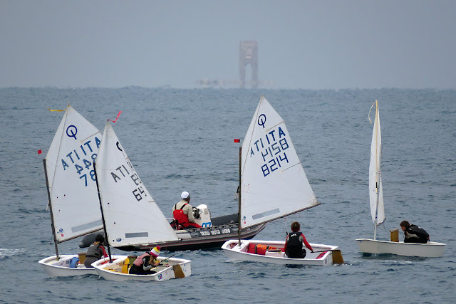 Barche a vela Optimist alla Terrazza Mascagni, Livorno