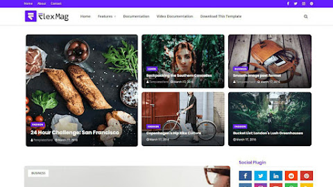 Flexblog premium blogger template for free