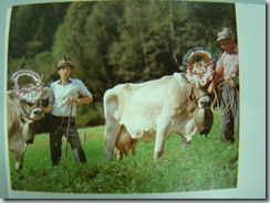 Europe brochure 144