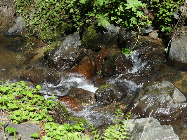 28: water falling over rocks