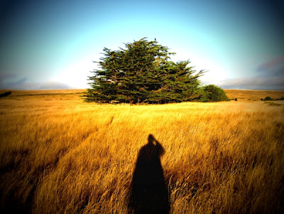 light and shadow photography