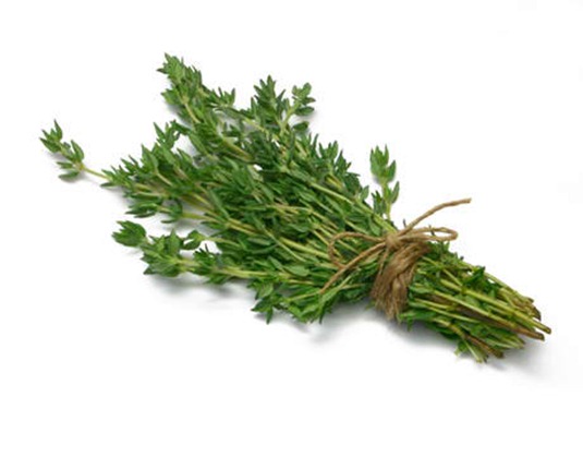 thyme