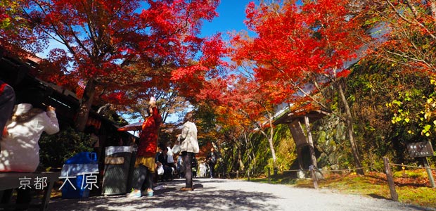 [写真] 京都･大原バス停から三千院までの参道風景
