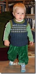 Vest_T_2_1b