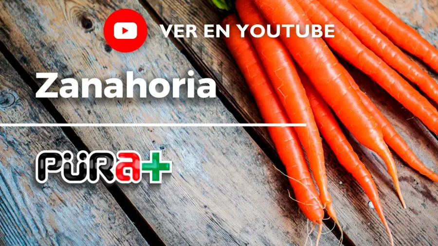 Video sobre las zanahorias