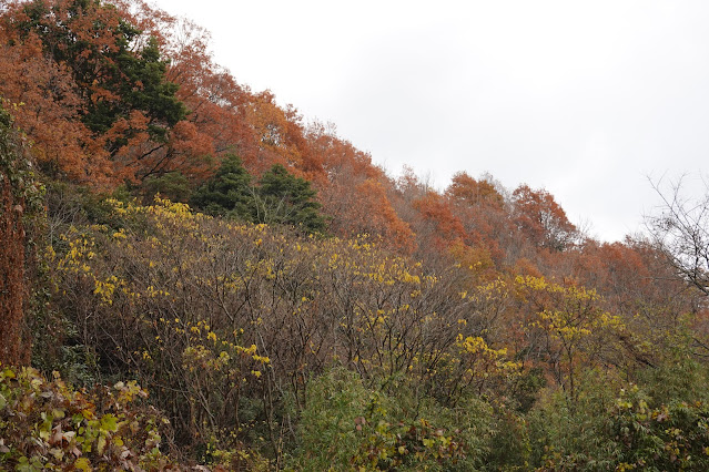 鳥取県米子市岡成 付近からの眺望