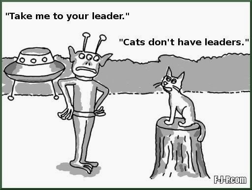 Funny alien visitor cat joke cartoon picture - Take me to your leader ...