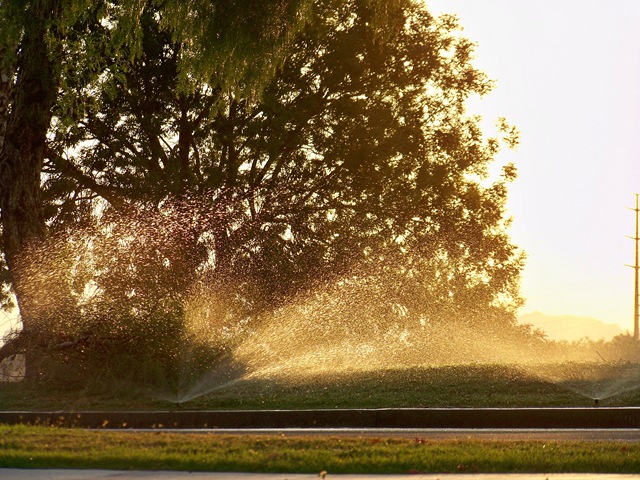 sprinkler 1