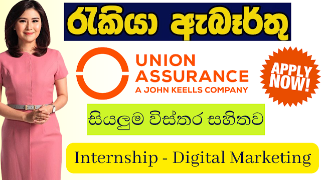  Union Assurance PLC/Internship - Digital Marketing