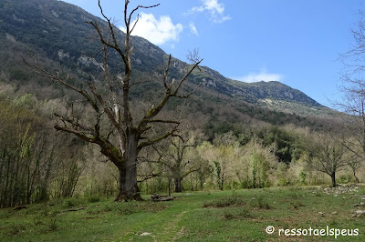 Volta a la serra de Bestracà