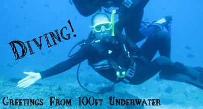tofo-diving-1.jpg