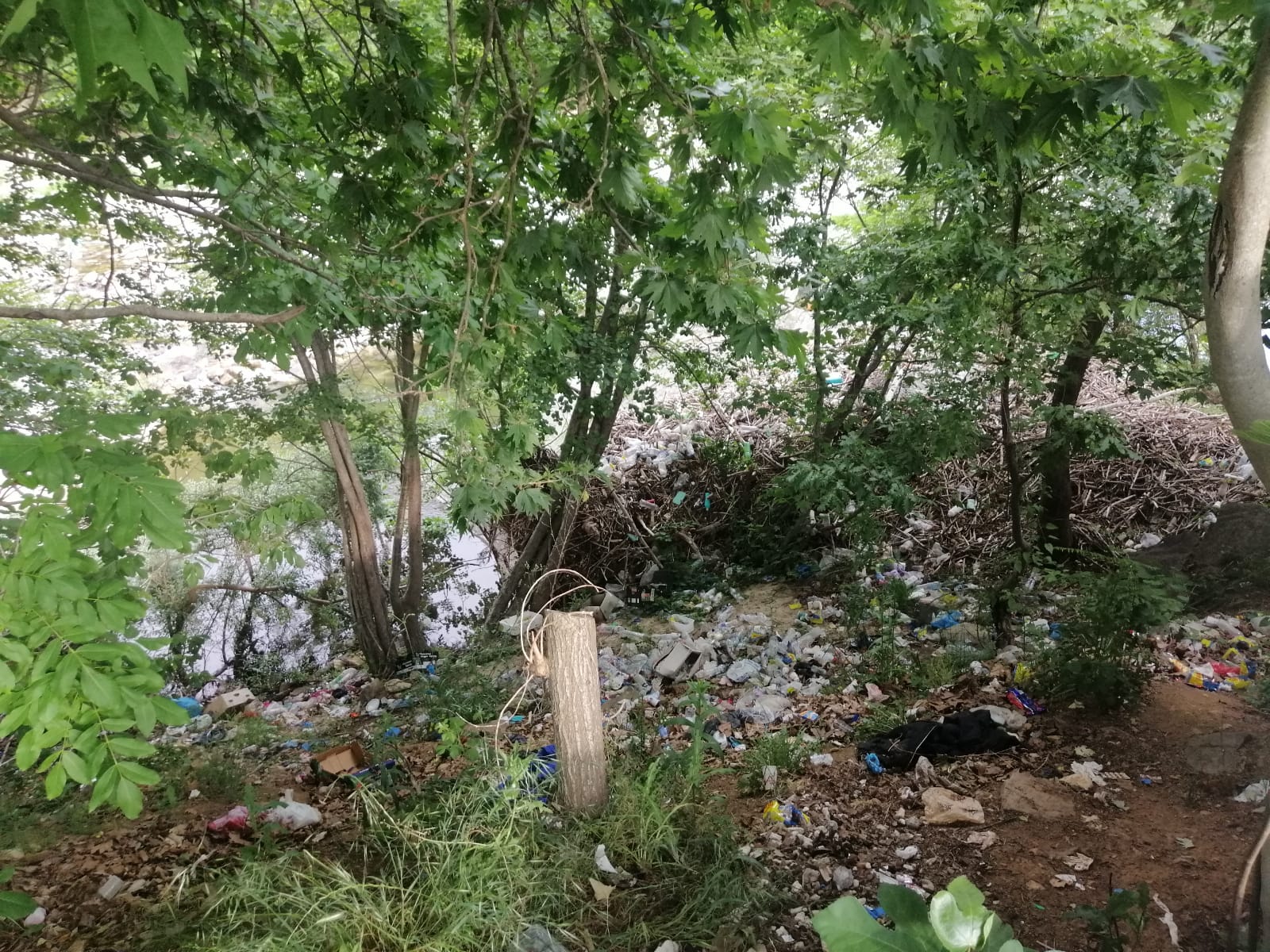 Απίστευτες εικόνες στην ορεινή Ξάνθη – Χτύπησαν «κόκκινο» τα σκουπίδια