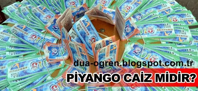 Milli Piyango Bileti Caizmi