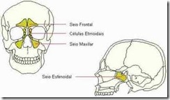 sinusite-2