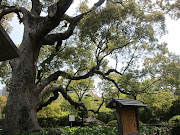Sorakuen is a famous Japanese garden situated right in the middle of Kobe.