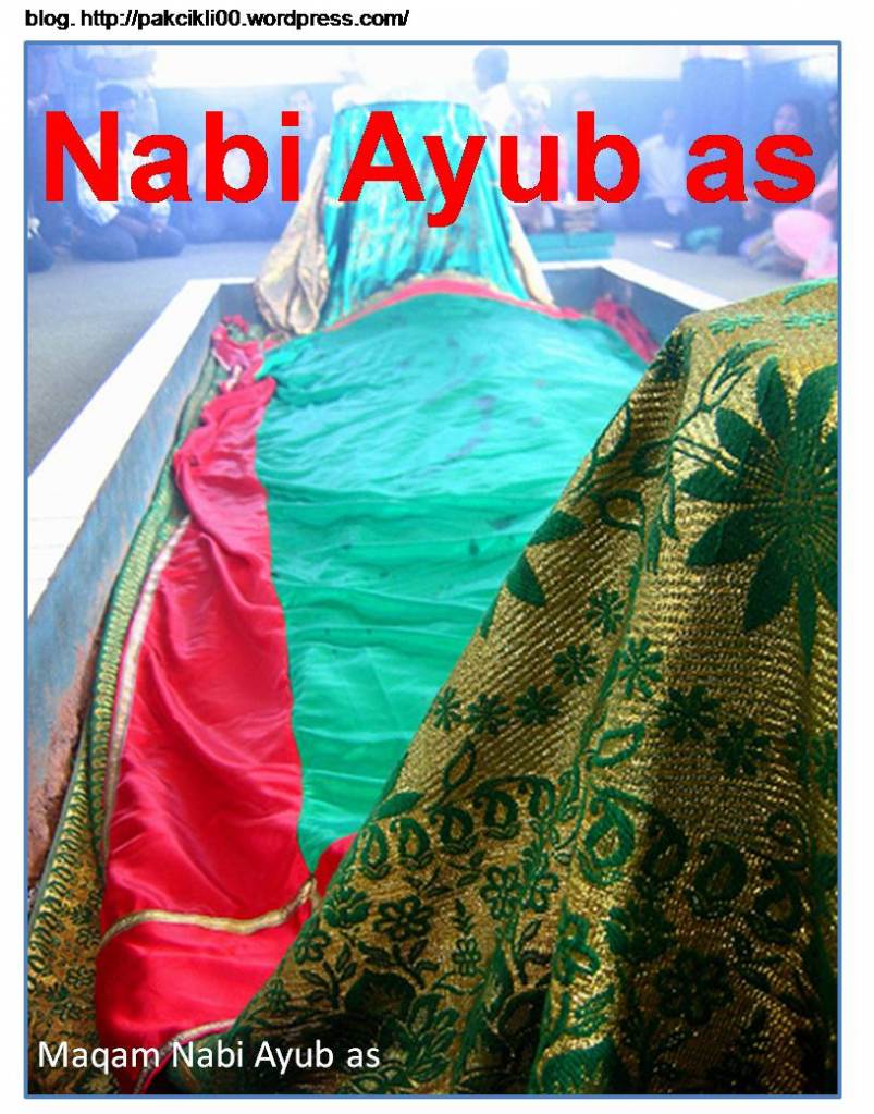 Nabi ayub Gallery