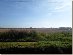 SAM_0050