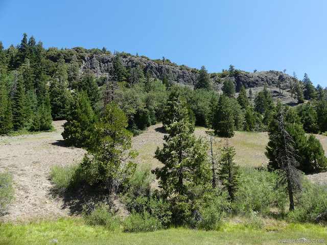 grey rock rising from the meadow and scattered trees