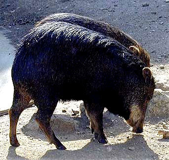 parque nacional el rey argentina ecoturismo