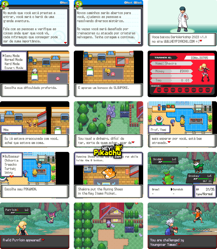 ◓ Pokémon Dark Workship 2023 💾 [v3.8] • FanProject