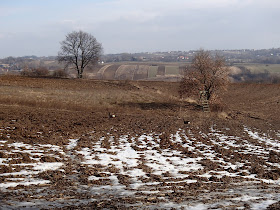 walentynki 2019