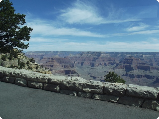 DSCF1715