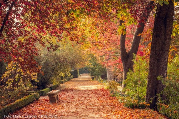 Jardin Botanico Otono