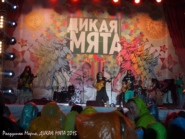 Дикая Мята 2015