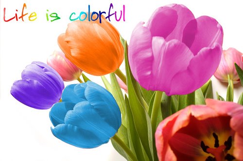 colorful pictures lips beautiful colors life
