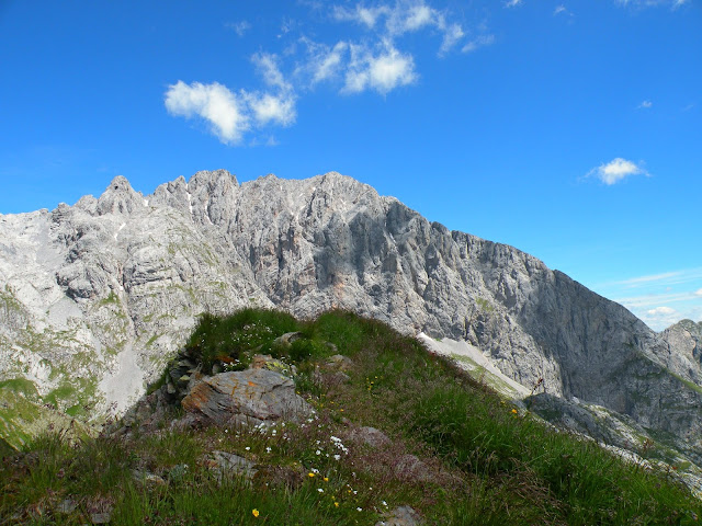 COLLINA DI FORNI AVOLTRI