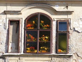 DSCF4653
